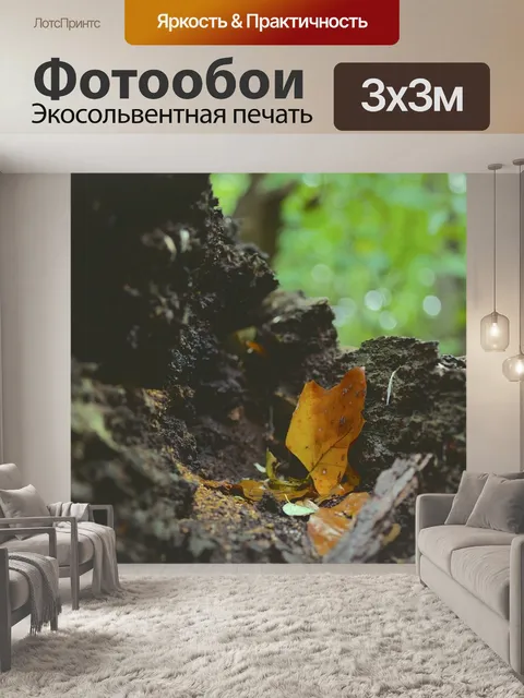 Фотообои Листья