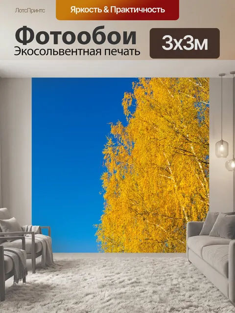 Фотообои Береза ​​осенью