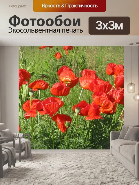Фотообои Маки