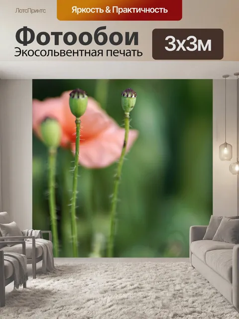 Фотообои Мак