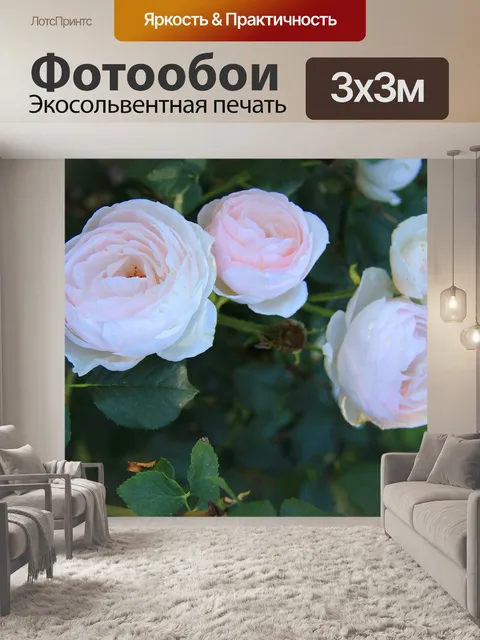 Фотообои Розы