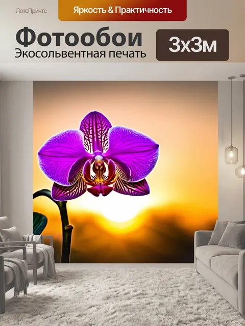 Фотообои орхидея на фоне солнечного заката, показывающая все ее лепестки и текстуры