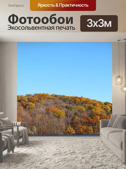 Фотообои Осень