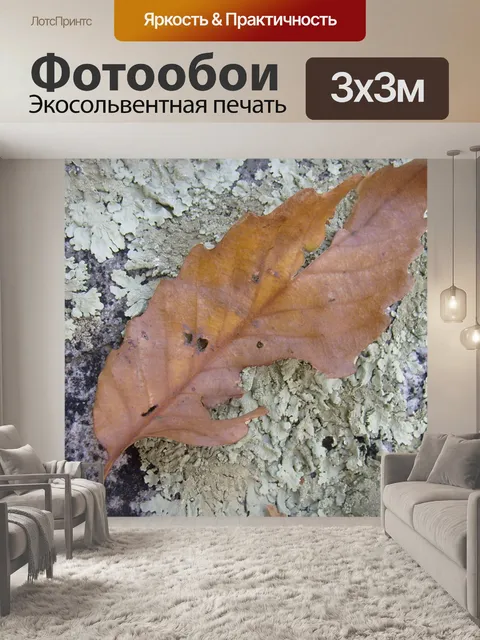 Фотообои Leaf