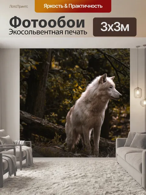 Фотообои Волк
