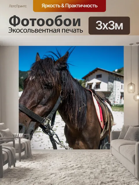 Фотообои Лошадь