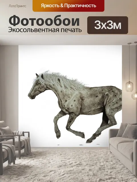 Фотообои Лошадь