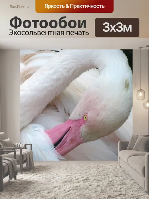 Фотообои Птица