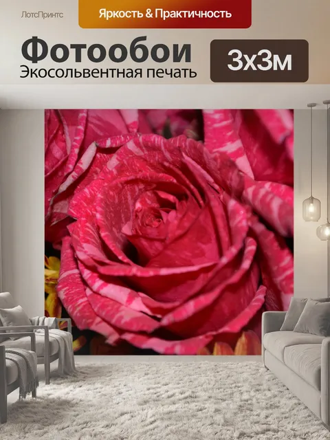 Фотообои Цветы