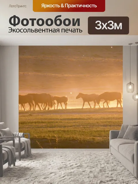 Фотообои Лошади