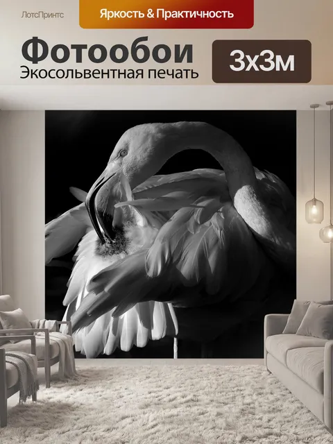Фотообои Фламинго