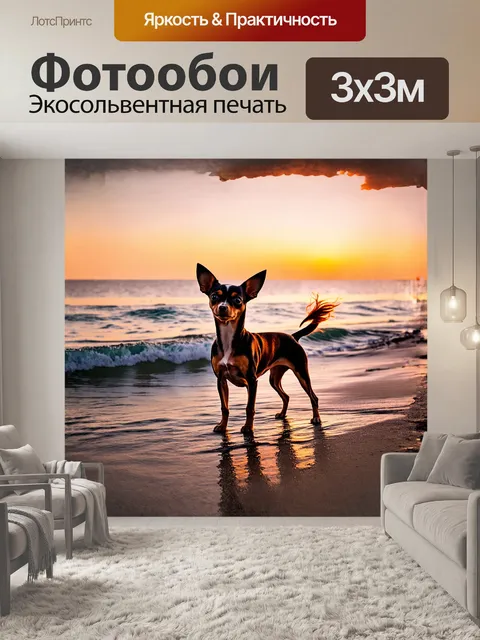 Фотообои той терьер стоит на прибрежной линии
