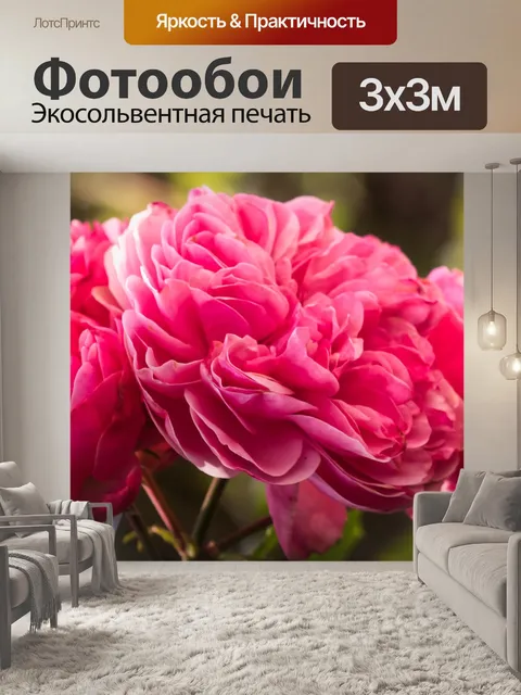 Фотообои Розы