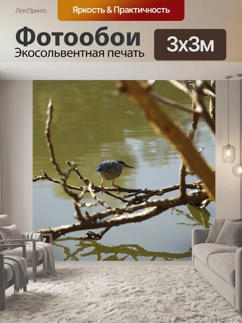 Фотообои Озеро