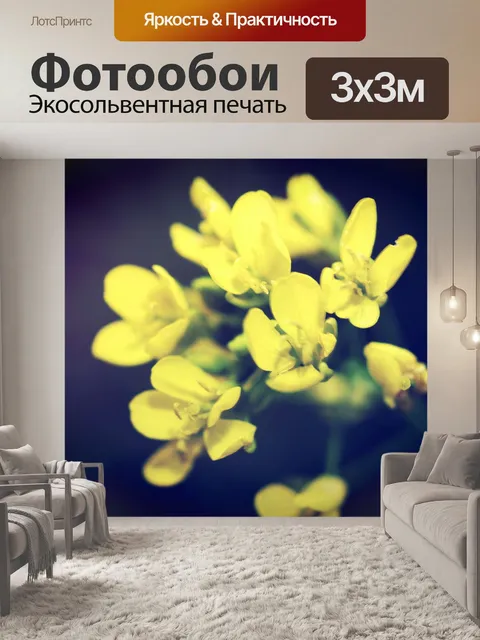 Фотообои Красивый цветок