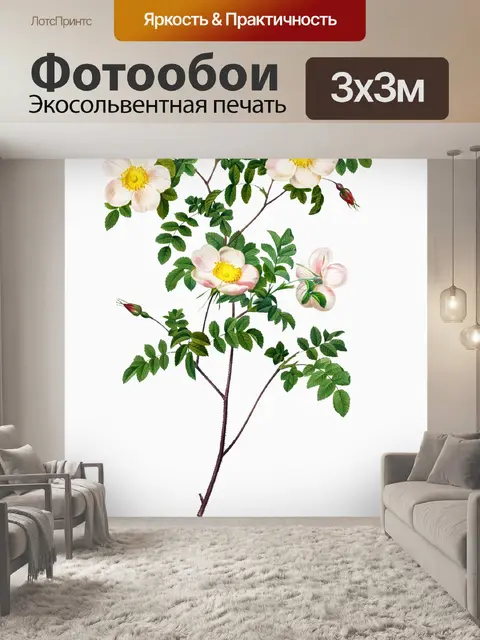Фотообои Роза винтажное искусство старое