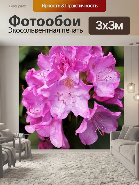 Фотообои Роса на цветы