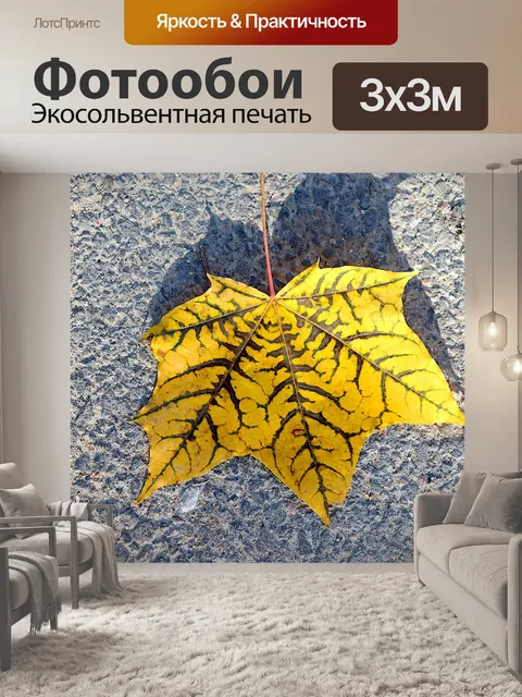 Фотообои Осенние листья