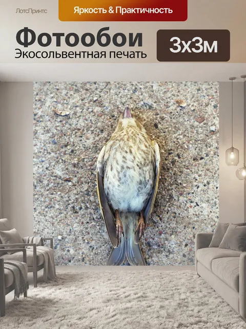 Фотообои Мертвые bird