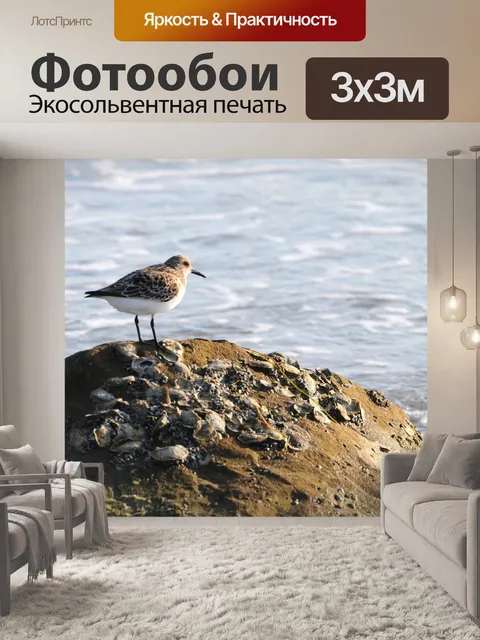 Фотообои Птица