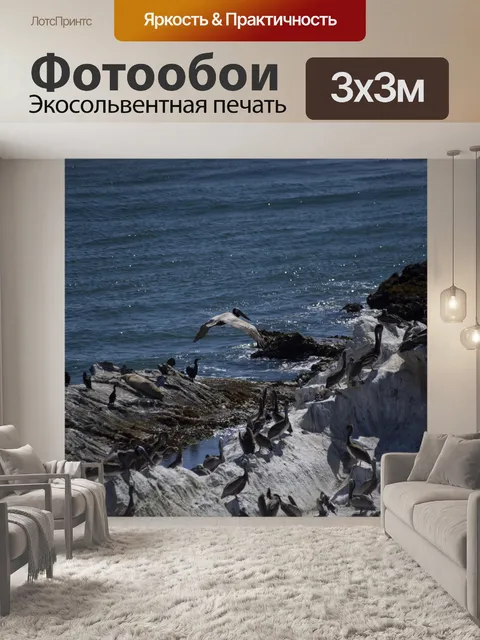 Фотообои Пеликаны и бакланы