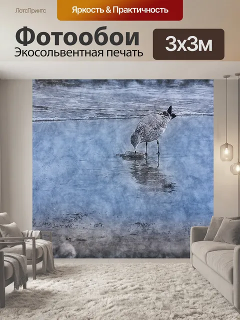 Фотообои морская птица
