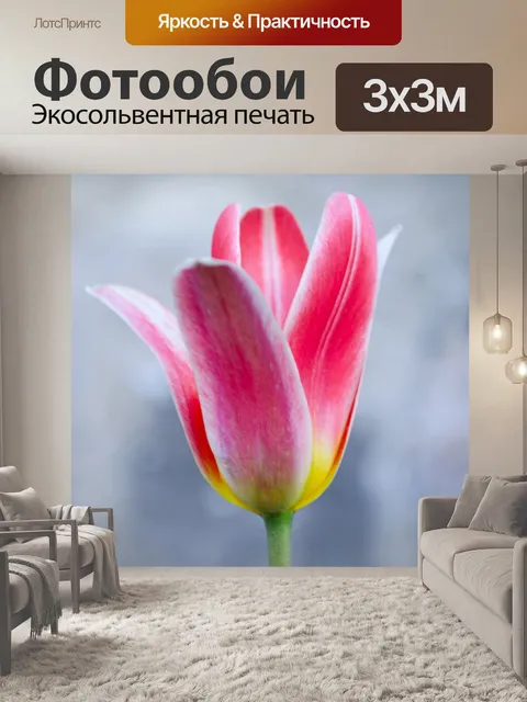 Фотообои Цветок