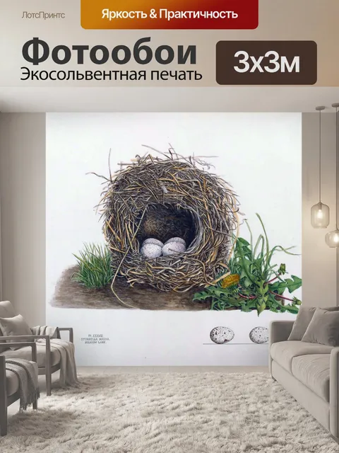 Фотообои Яйца птичьего гнезда винтажное искусство