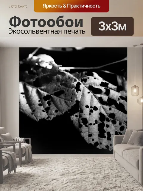 Фотообои лист