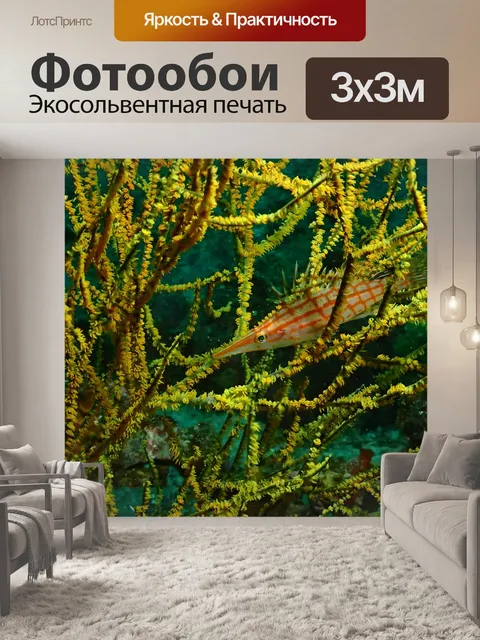 Фотообои Рыбы