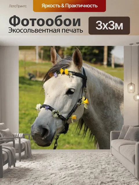 Фотообои Лошадь