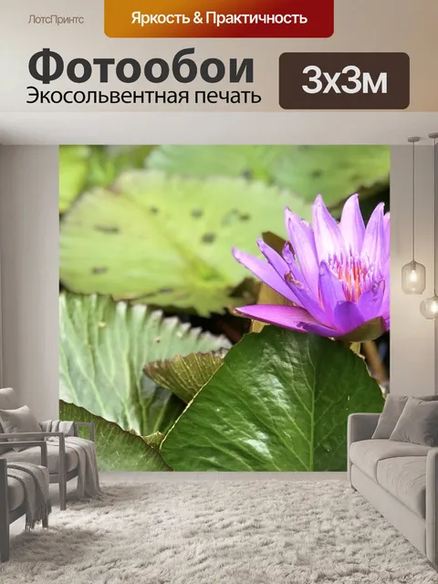 Фотообои Природа