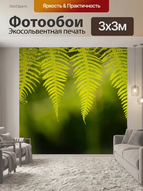 Фотообои Папоротники