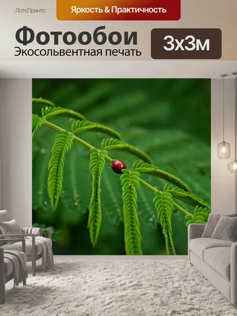 Фотообои Акация