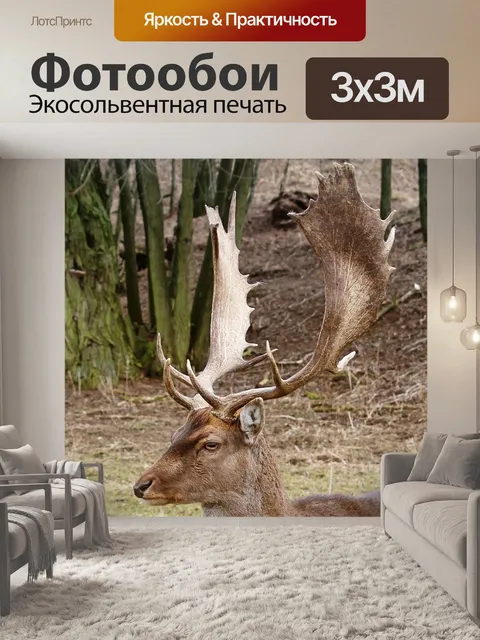 Фотообои Олень