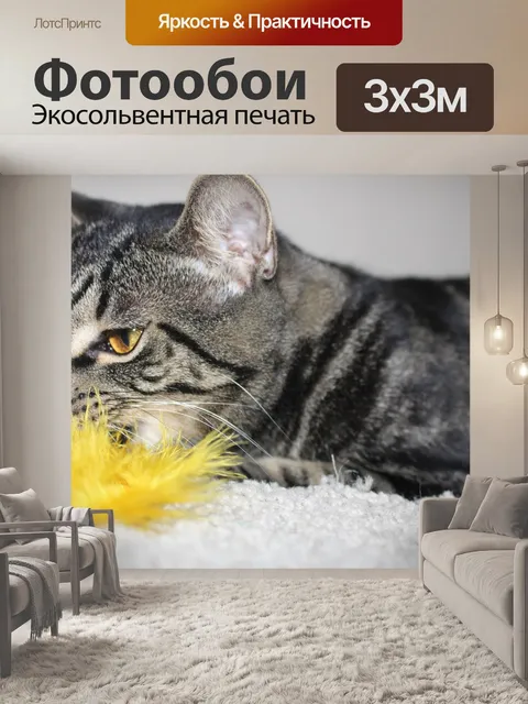 Фотообои Кошка