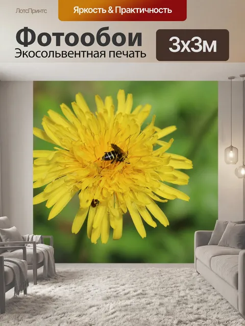 Фотообои Одуванчик
