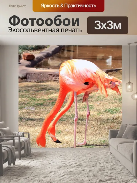 Фотообои Два розовых фламинго