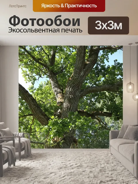 Фотообои Природа
