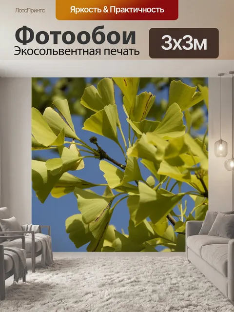 Фотообои Гинко