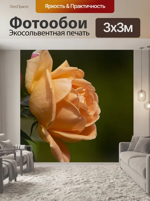 Фотообои Осень