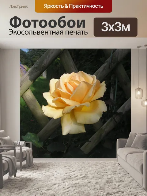 Фотообои Цветы