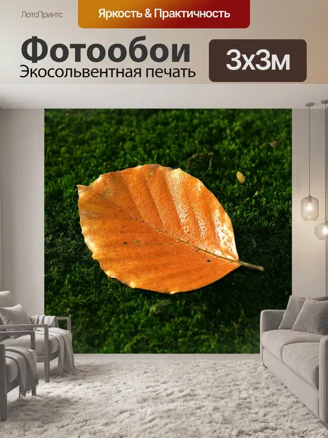 Фотообои Лист