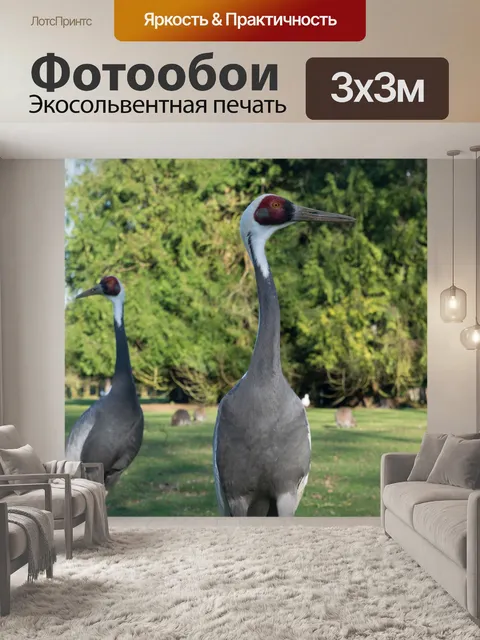 Фотообои Птица