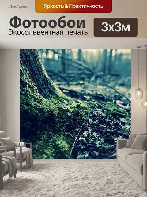 Фотообои Лес