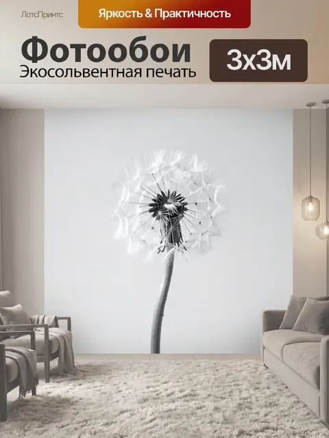 Фотообои Макро одуванчик в монохроме