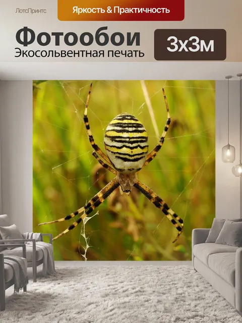Фотообои Насекомое