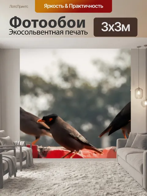 Фотообои Птицы