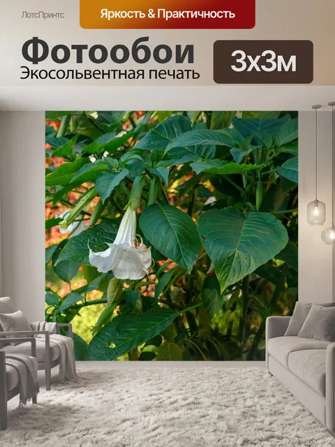 Фотообои Ботанический сад в Быдгоще