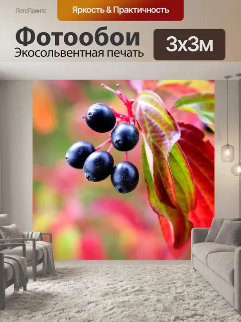 Фотообои Фрукты